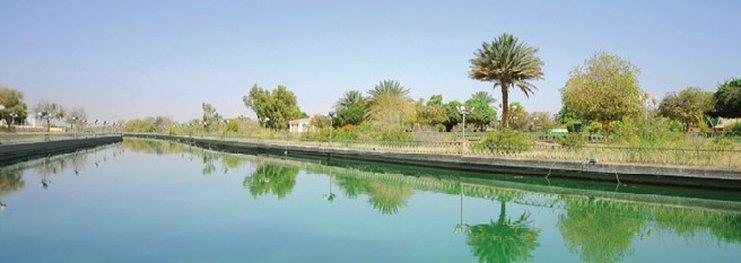 One To One Hotel & Resort Ain Al Faida Al Ain Exteriör bild